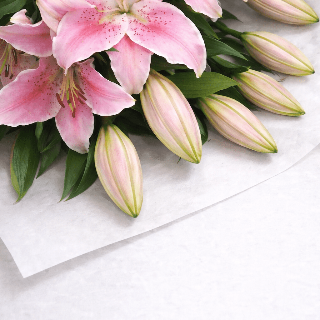 Blush Lily Bouquet - GIFTA.