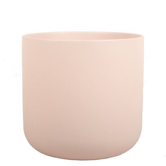 Ivy Matte Ceramic Pot - Forgetmenot