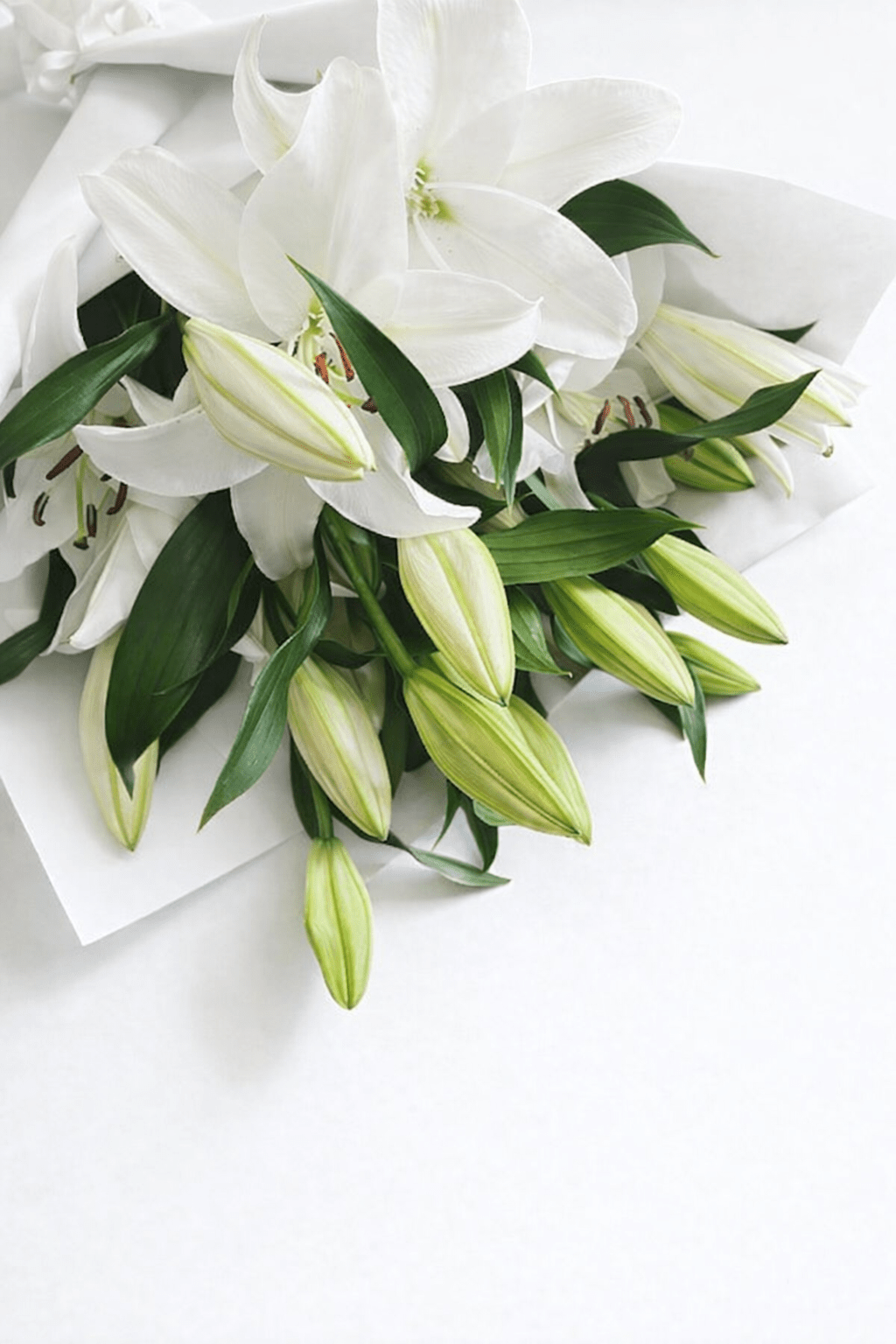 Lily Bouquet - GIFTA.
