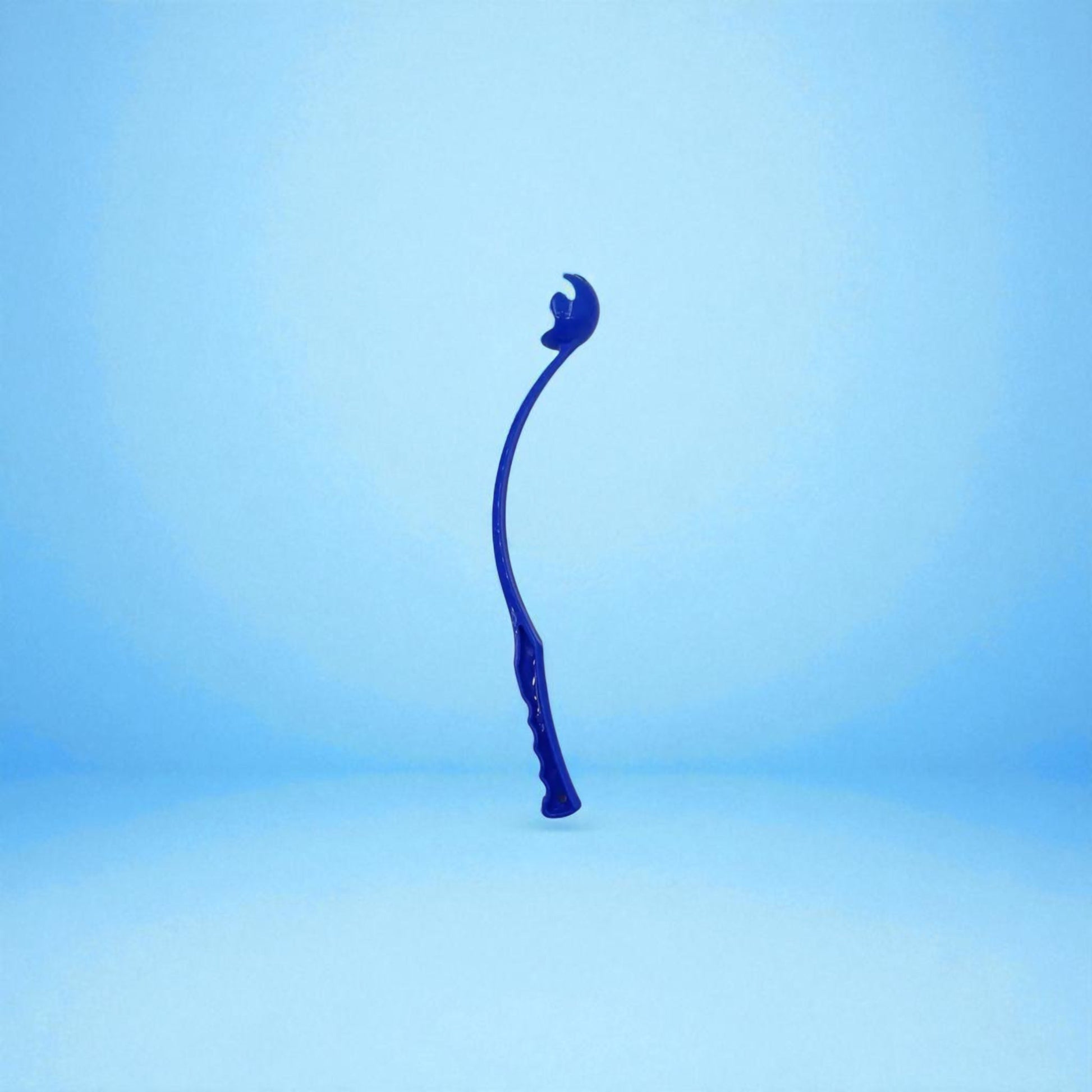 Ball Thrower - Forgetmenot