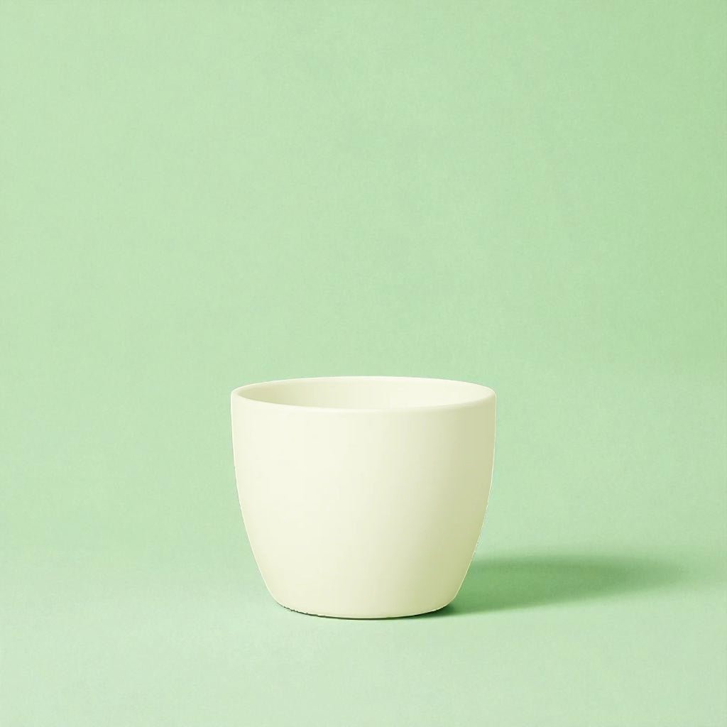 Dana Vanilla Matte Ceramic Pot
