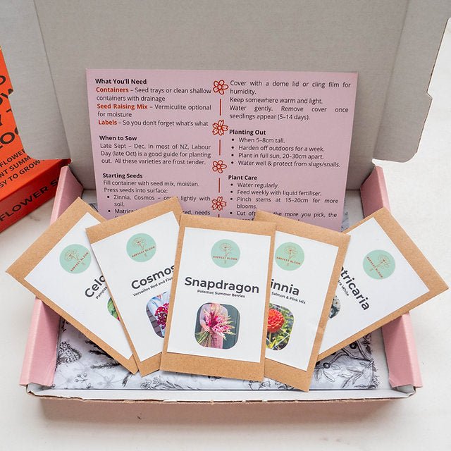 Flower Growing Gift Box - GIFTA.