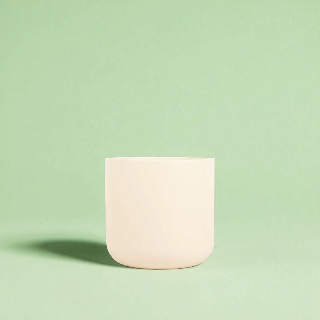 Ivy Matte Ceramic Pot - Forgetmenot
