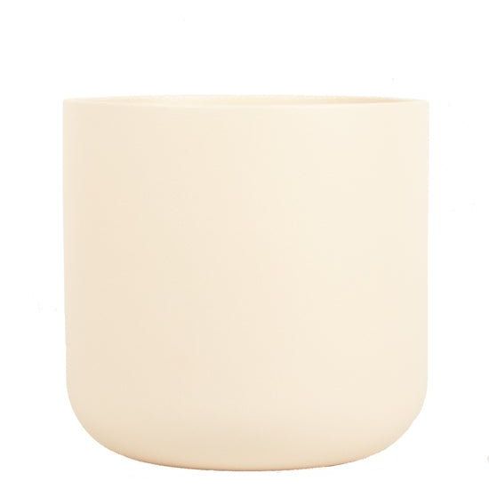 Ivy Matte Ceramic Pot - Forgetmenot