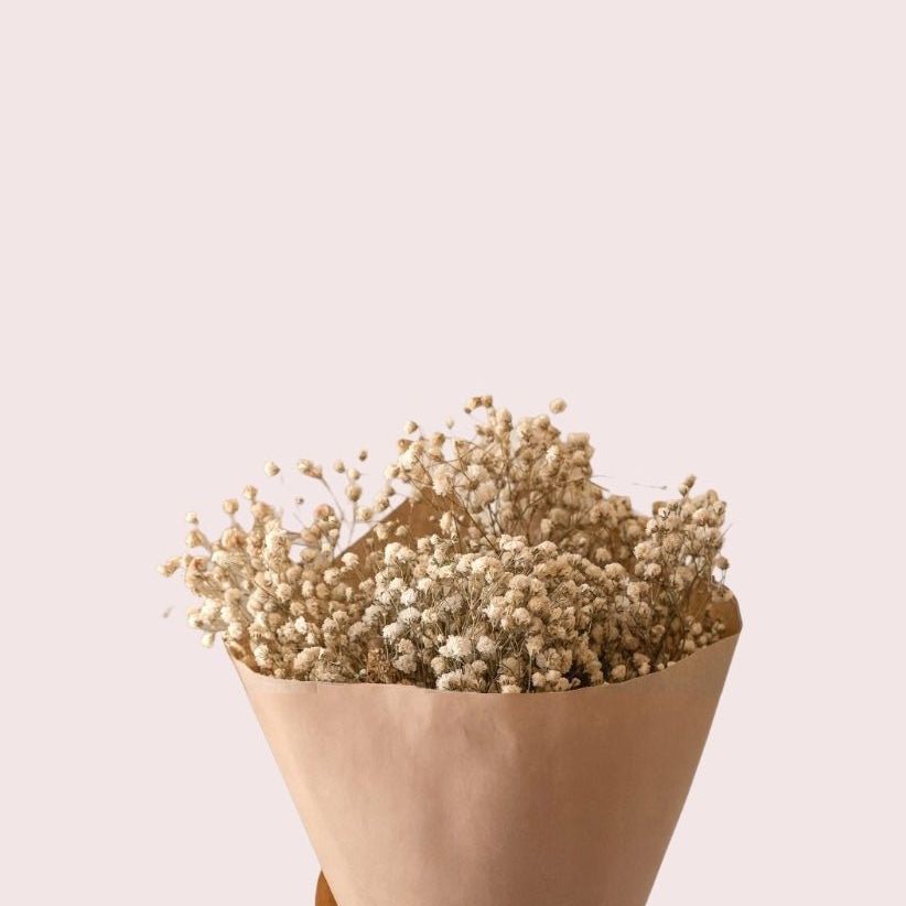 Preserved Baby's Breath (Gyp)