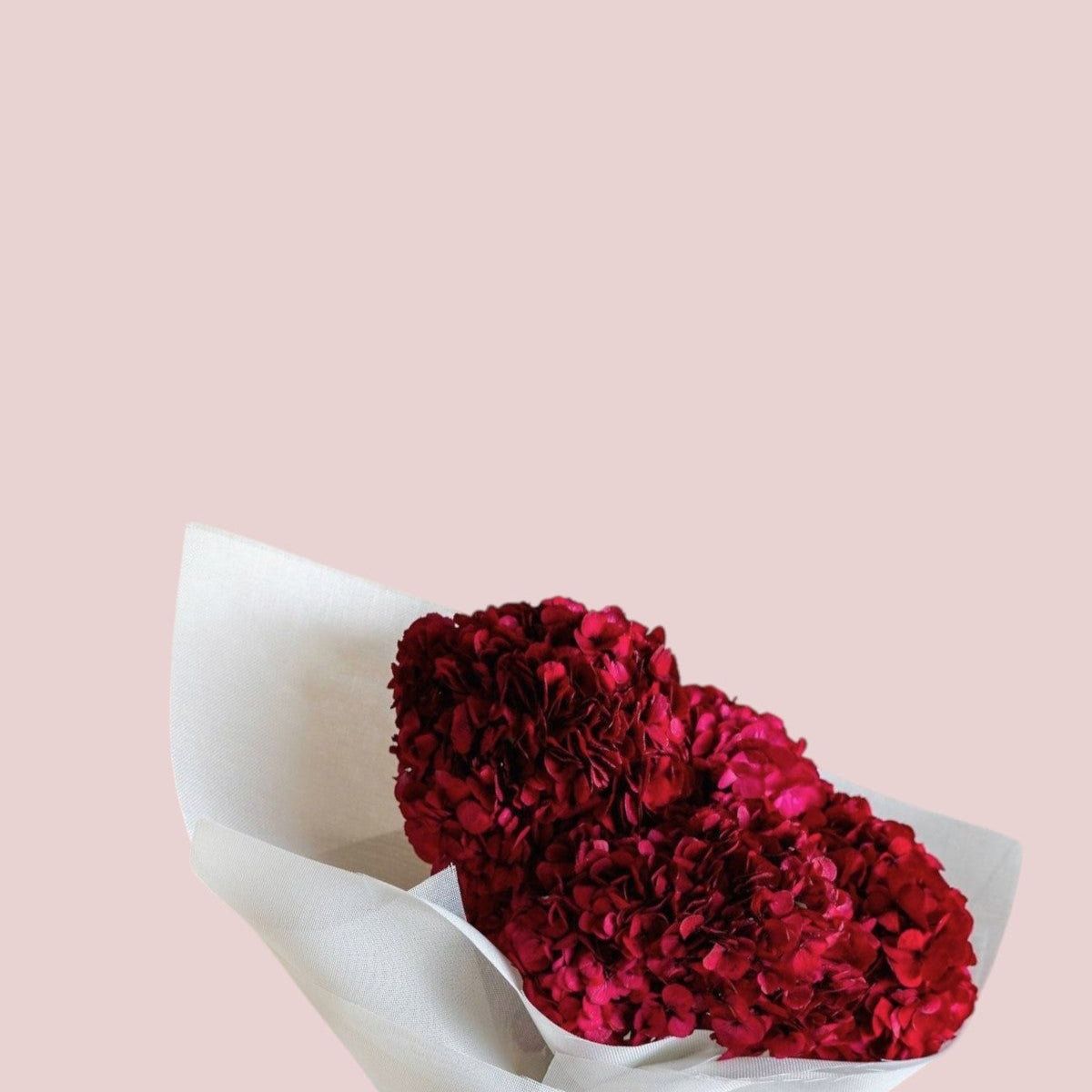 Preserved Hydrangea - Forgetmenot