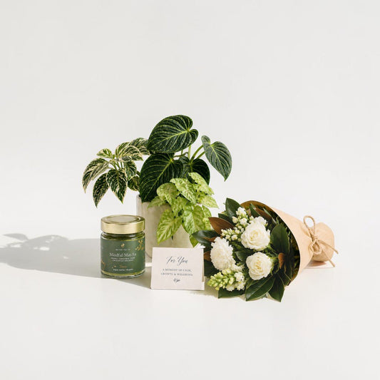 The Green Serenity Gift Set - GIFTA.